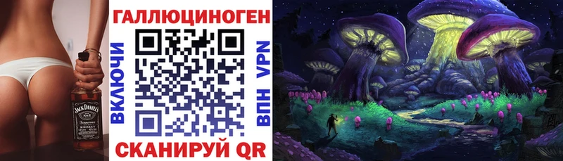 Купить  Сухиничи  Галлюциногенные грибы GOLDEN TEACHER 